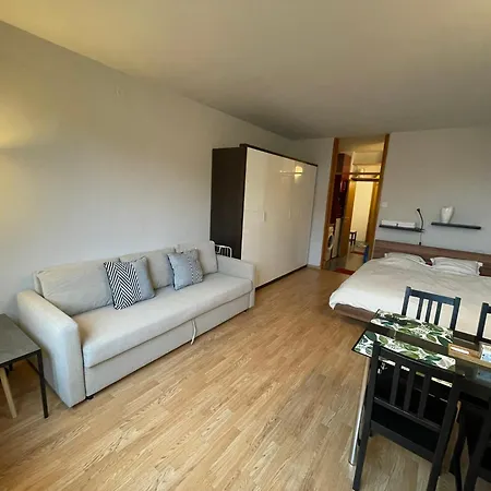 Apartment In Center *