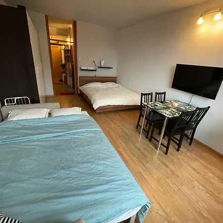 In Center Apartament Lublana