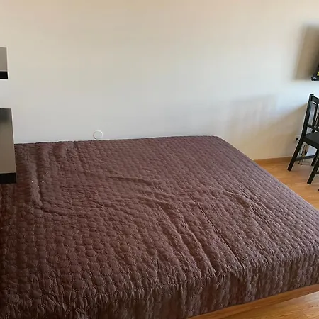 Apartment In Center Laibach