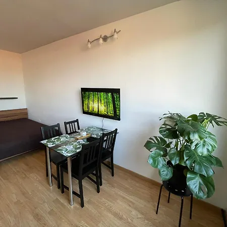 Apartment In Center