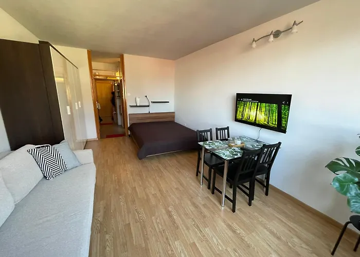 Apartamento In Center