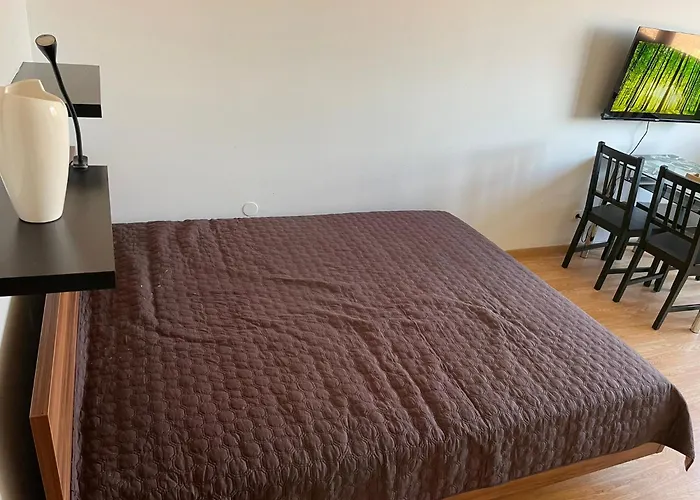 Apartamento In Center Liubliana