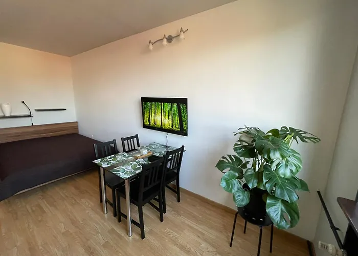 Appartement In Center